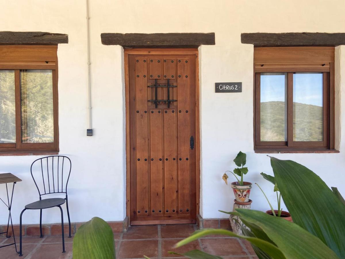 The Wild Olive Andalucia Citrus Suite Casares Bagian luar foto